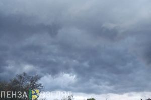 Смертельный удар молнии, жесткая авария и тлеющая свалка: новости Пензы и области за 26 июля