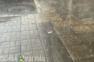 29 июля в Пензенской области ожидается +27 градусов и дождь