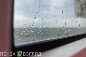 30 июля в Пензенской области ожидаются дожди, грозы и порывы ветра