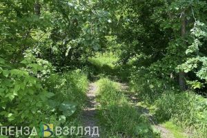 Пензенцев просят помочь в поисках 73-летней женщины
