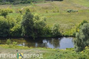 31 июля в Пензенской области ожидается +25 градусов тепла