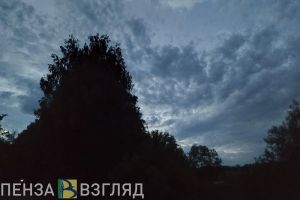 В Пензе пропал 93-летний Анатолий Спирин