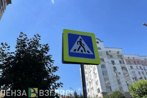 На улице Аустрина в Пензе пенсионер сбил мужчину-пешехода