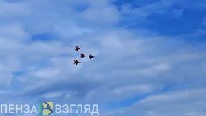 Полет «стрижей», насмерть сбитый трактором мужчина, отмена обществознания в школах – новости Пензы и области за 1 августа
