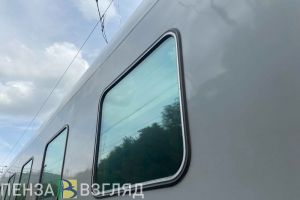 В Пензенской области пассажирский поезд сбил лося