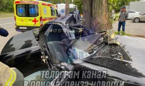 Машина угодила в дерево на ул. Аустрина в Пензе: есть пострадавшие