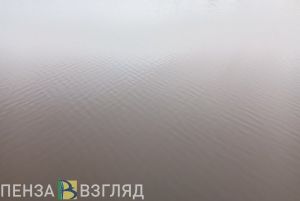 Названы пляжи Сердобского района, разрешенные для купания