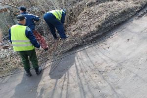 Златогорский рассказал об экспертизе проекта переезда в Западном микрорайоне