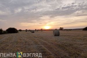 В Пензенской области у четырех сенокосов отобрали земельные участки