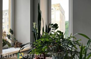 На квартиру пензячки наложили запрет из-за долгов «двойника»