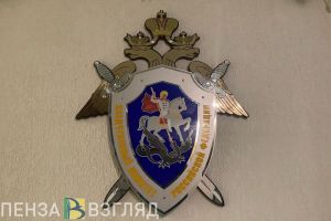 Бастрыкин поручил проверить сведения о пристававшем к девочкам в Пензе мигранте
