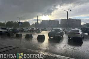 Пензенцев предупреждают о ночной грозе 8 августа