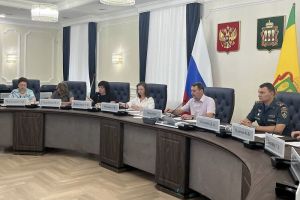 Власти Пензенской области решили усилить профилактику безопасности детей