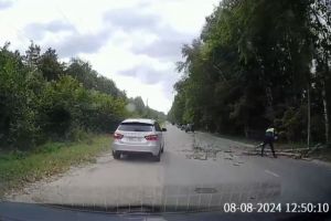 Падают деревья и летит мусор: на Пензу обрушилась непогода