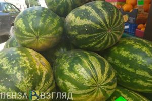 Пензенцы узнали, сколько дыни и арбуза можно съесть без вреда для здоровья