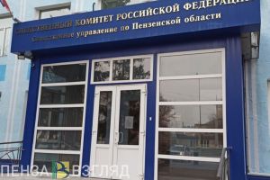 В Пензе возбудили уголовное дело после постов о пристающих к детям