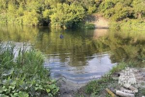 С начала 2024 года на воде в Пензенской области погиб 21 человек