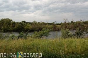 Жителям Пензенской области рассказали о погоде 10 августа