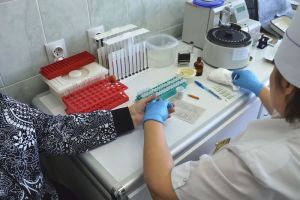 Пензенцам рассказали, что такое «хороший» и «плохой» холестерин