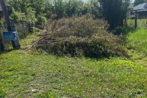В Каменке продолжаются работы по прочистке ливневок и опиловке деревьев