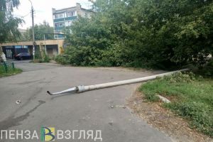 Во дворе на улице Кулакова в Пензе рухнули дерево и бетонный столб
