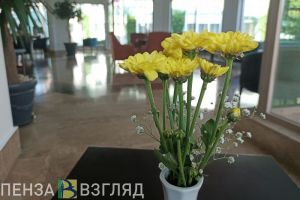 На Революционной улице в Пензе построят новую гостиницу