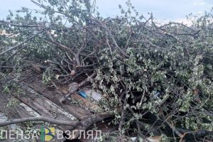 В Вадинском районе прокурор потребовал ликвидировать незаконные свалки