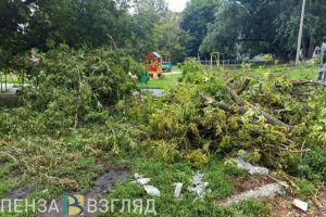 В Пензе ликвидируют последствия ненастья