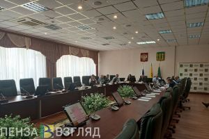 Мэрию Пензы попросили обустроить переход у школы возле новой развязки