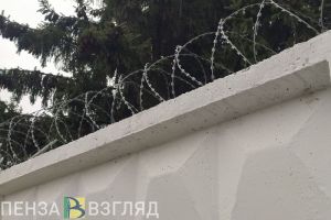 Пензячка оставила двух маленьких детей, чтобы распространять наркотики в Тамбове