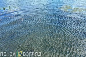 Пензенцев просят помочь установить личность утонувшего в Суре