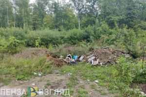 Пензенцы бьют тревогу: Арбековский лес утопает в мусоре