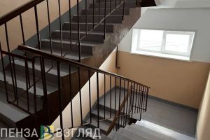 В Пензе квартира стала очагом бешенства