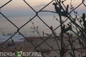 Одаренные пензенские школьники бесплатно отдохнут на Черноморском побережье