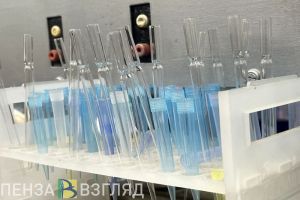 Пензенцы узнали, грозит ли им опасность распространения оспы обезьян