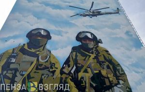 Мельниченко рассказал о добровольце СВО из Пензенской области с позывным «Арда»