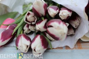Пензенцев предупреждают о возможном подорожании цветов к 1 сентября