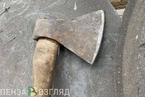 В Нижнеломовском районе мужчина пытался зарубить сестру топором