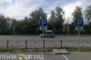 Пензенцы узнали о самых электромобильных регионах России