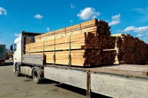 Пензенцы помогают строить оборонительные сооружения в Курской области