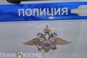 В Шемышейском районе пенсионер украл чужой забор весом 240 кг
