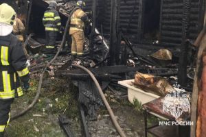 При пожаре в Пензенском районе пострадали двое детей и двое взрослых