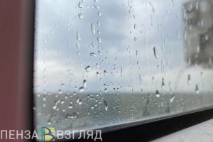 21 августа в Пензенской области прогнозируют грозу, дождь и 26 градусов тепла