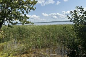 В водоеме в Пензенском районе рыбак обнаружил тело мужчины
