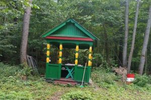 В Пензенской области привели в порядок купальню Молочного родника