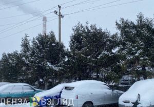 Пензячке выплатят 100 тысяч рублей за обрушение льда на машину зимой