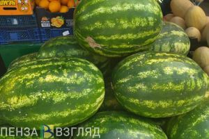 В 2023 году среднестатистический житель Пензенской области съел 18 кг арбуза