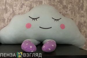 Житель Санкт-Петербурга похитил из пензенского магазина мягкие игрушки