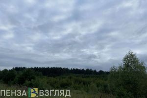 В МЧС напомнили пензенцам о том, как должен выглядеть безопасный поход в лес