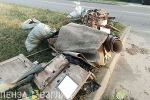 В 2025 году в Пензенской области обследуют 14 несанкционированных свалок